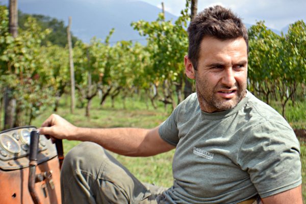 damiano