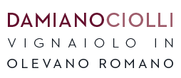 Damiano CIolli